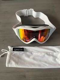 Lunette ski alpin