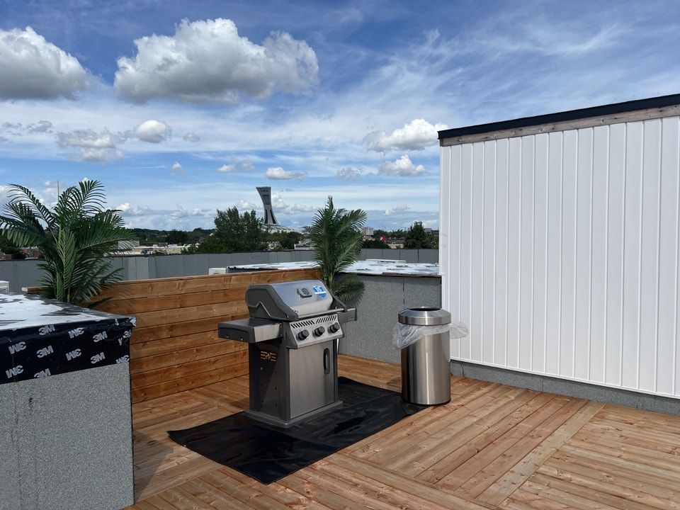 Spacious 3 1/2 in the heart of Hochelaga 5