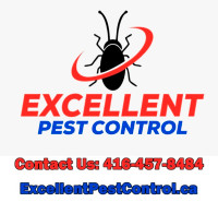 MICE, RAT. COCKROACH, BEDBUG, ANTS. PEST CONTROL @ 416-457-8484