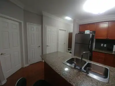 Large master bedroom with walk-in closet in a fully furnished condo $1250 or the second room $750. G...