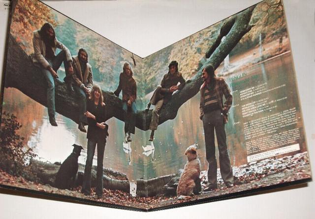 Fleetwood Mac - Penguin (1973) LP dans CD, DVD et Blu-ray  à Ville de Montréal - Image 3