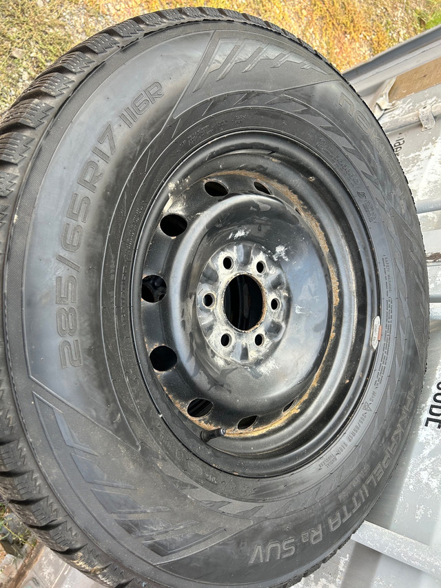 17”Ford f150 rims winter tires in Tires & Rims in Vernon - Image 3