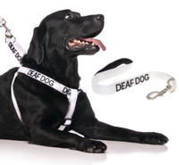 DEAF DOG leash and collar