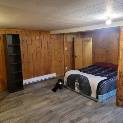One bedroom available to rent in a 3 bedroom house. The room is 15ft x 16ft with a walk in closet. T...