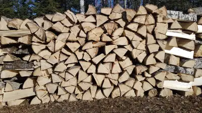 Bois de chauffage ( Tremble ) à Roberval !, View more