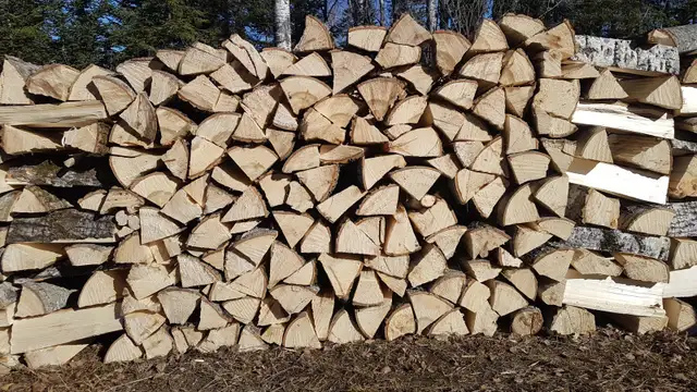 Bois de chauffage ( Tremble ) à Roberval ! in Fireplace & Firewood in Lac-Saint-Jean - Image 2