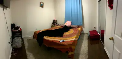 2-bedroom basement with 2-car parking for rent in Brampton, View more