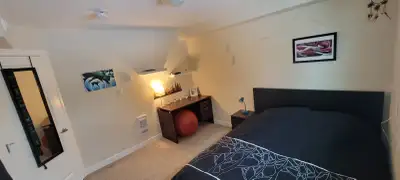 I’m looking for a mature, clean and responsible tenant. This spacious bedroom gets a lot of natural...