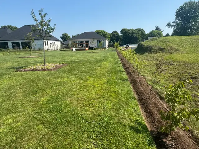 FALL CLEAN UP / SNOW REMOVAL / LAWN CUTTING in Lawn, Tree Maintenance & Eavestrough in London - Image 4