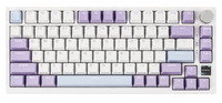 White/Purple PBT keycaps ONLY