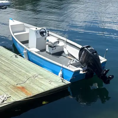 Great boat, I don’t need to sell just kinda thinking about getting something bigger. 17.5ft baby cap...