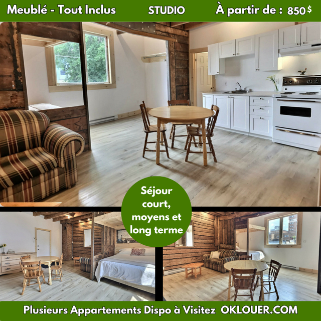 STUDIO MEUBLE-TOUT INCLUS EN CENTRE VILLE