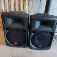 BSA 10 - 300 BS Acoustic speaker