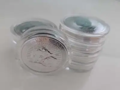 RCM Canada 10 Dollars 2025 Bull and Bear Silver 9999 2 oz Coins, View more