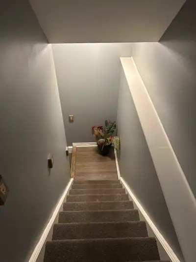 3 Bedrooms available in a Basement Apartment