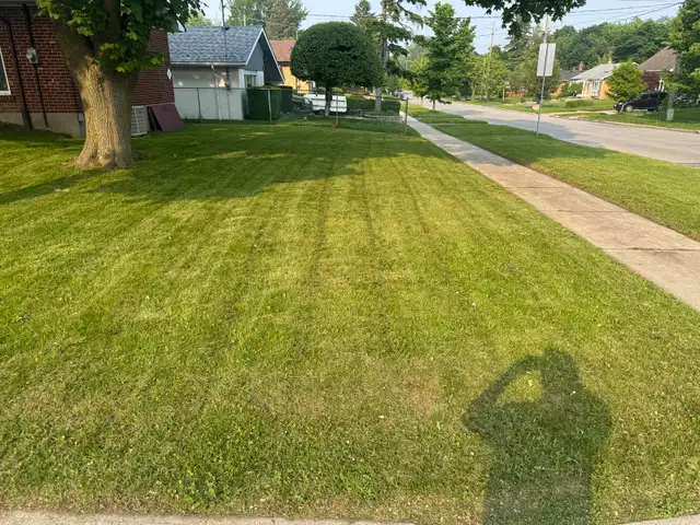 Scarborough, East York and Leaside Grass Cutting in Lawn, Tree Maintenance & Eavestrough in City of Toronto - Image 10
