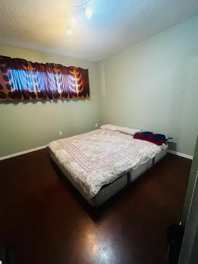 Looking for a friendly and clean roommate in a nice upper-level house in Rutland. The home is very q...