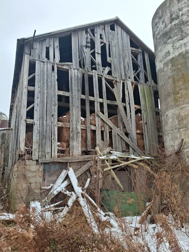Barn Painting & Repairs63581889216003124