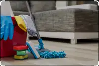 Professional cleaning 