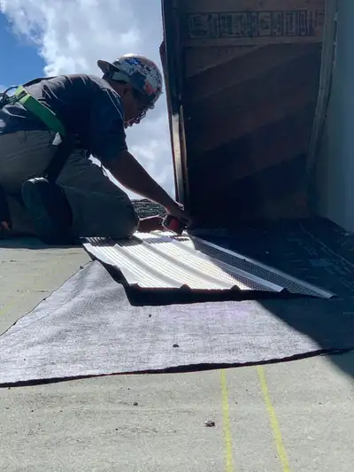 Fast Removal Of Termite, Bed Bug, Roaches, Pigeon , Ant And More, View more