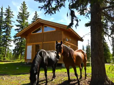 The Red Cariboo Resort is looking for a horse trainer/all-rounder from now on (start date as soon as...