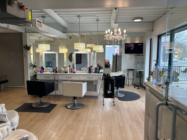 Salon de coiffure à vendre  dans Coiffure, esthétique et spa  à Laval/Rive Nord - Image 2