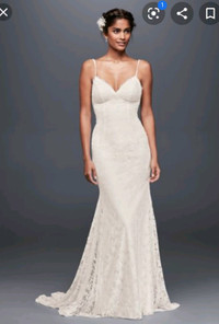 Wedding Dress - David's Bridal WG3827