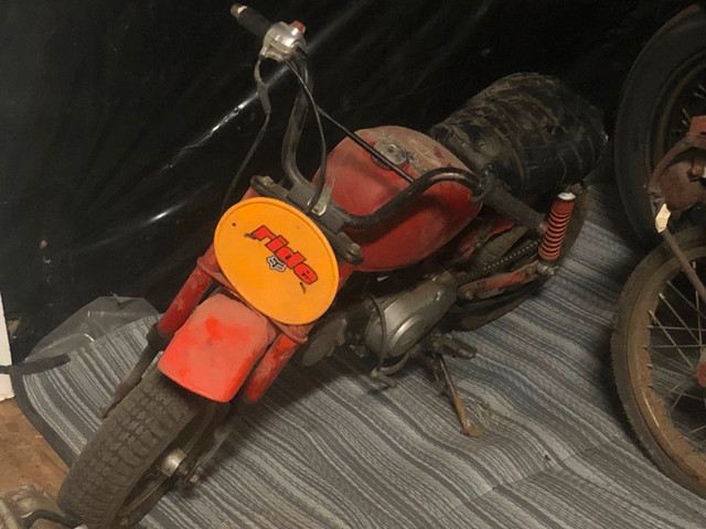 Honda mini bike 1984 not seized in Dirt Bikes & Motocross in Grande Prairie - Image 2