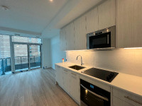 By Main subway staion, 1+1, 2 wash brand New condo for rent