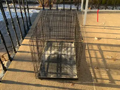 Cage pour chien, View more