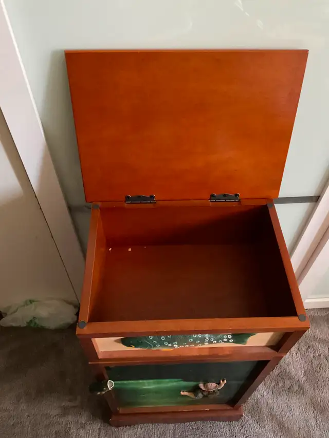 Vintage Fishing Man Motif Accent Cabinet in Bookcases & Shelving Units in Edmonton - Image 5