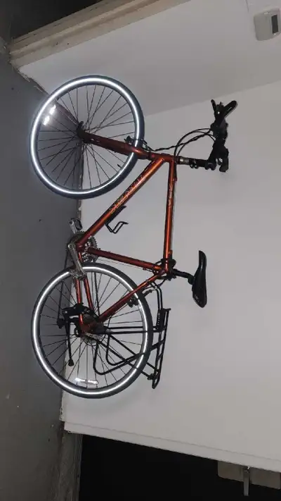 Bicycle with baby/pet carrier, View more