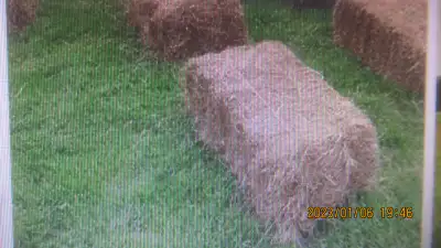 ❗❗❗Square bales 2025  ❗❗❗, View more