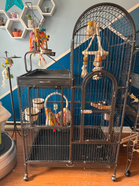 cage a perroquet