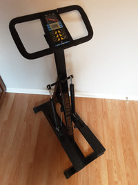 DELUXE STEPPER STAIR MASTER EXERCISE MACHINE