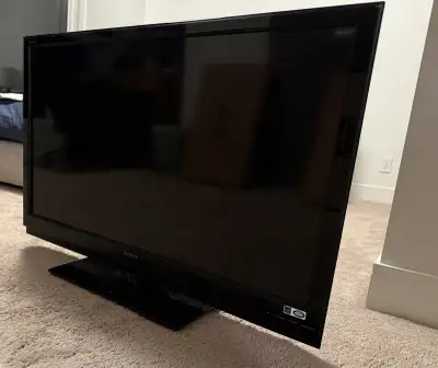 Free 42 inch Sony TV, View more