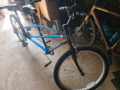 Norco Cape Cod Tandem Bike, View more