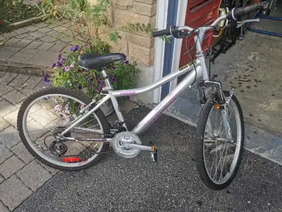 24 inch Kids Infinity Bicycle, View more