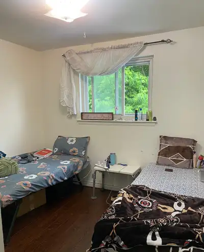 Room in sharing for 1 girl with vegetarian Indian food-$550