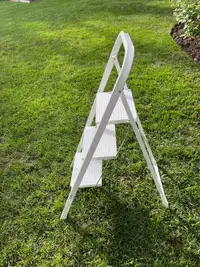 Three step stool / three step ladder
