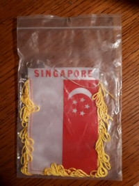 Singapore Mini Banner 