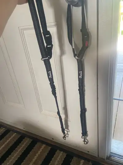 2 dog seatbelts that I don’t use cause my dogs don’t driving enough with me asking $20 cash only