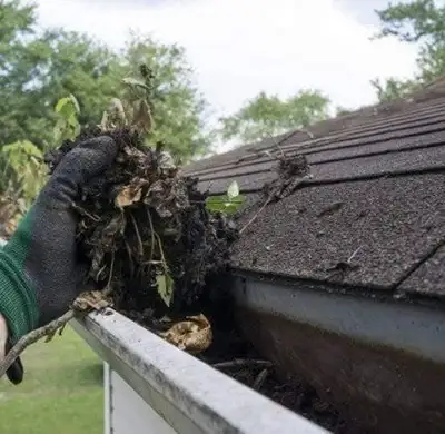 #In&Out_Window_Wash#Eavthrough_Clean&R #Siding_Wash&Garage_Wash, View more