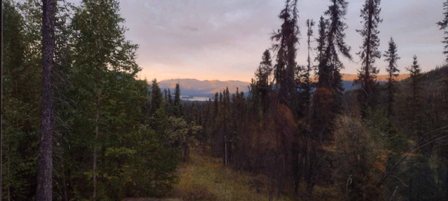 Dawson City Yukon trapline for sale in Land for Sale in Whitehorse - Image 3