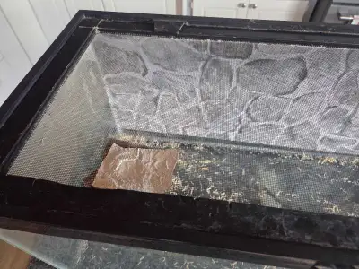 reptile tank, View more