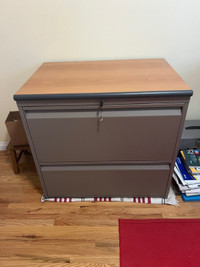 2 drawer filing cabinet metal