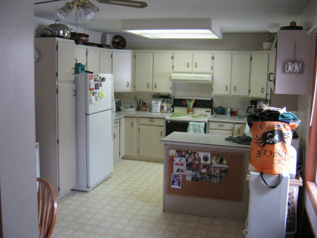 KITCHEN CABINETS PAINTED in Cabinets & Countertops in Vernon - Image 3