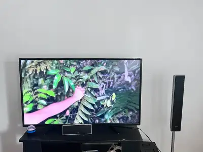 Toshiba 49 inch Tv with chromecast. , View more