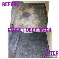 Carpet shampoo 