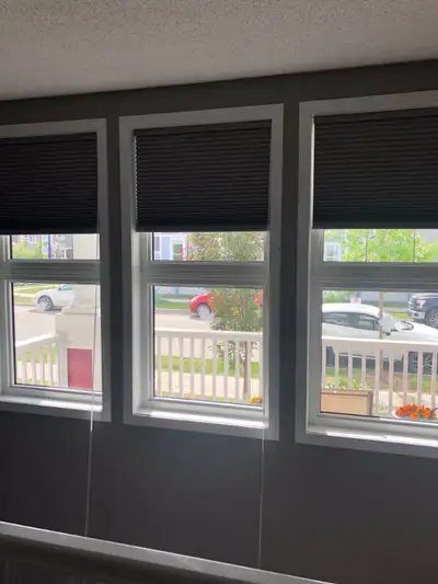 Motorized Designer Signature Blackout Honeycomb Window Shades, View more